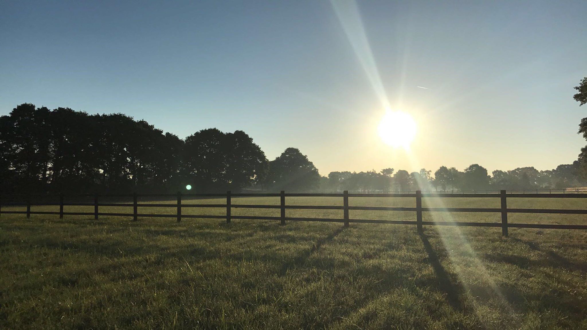 Paardenweide met houten omheining